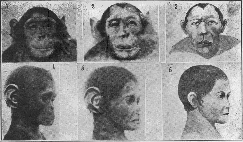 La vera alba del pianeta delle&nbsp;scimmie