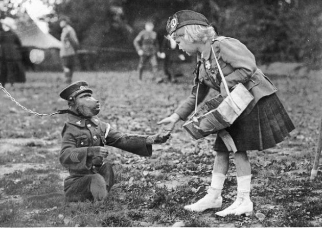 Jackie, la scimmia che fu fatta&nbsp;caporale