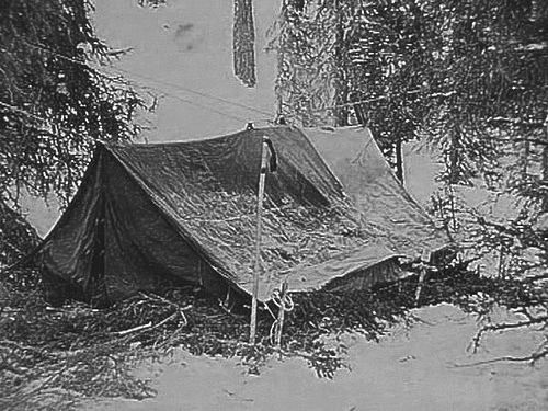 4503147105_6e89b7057d