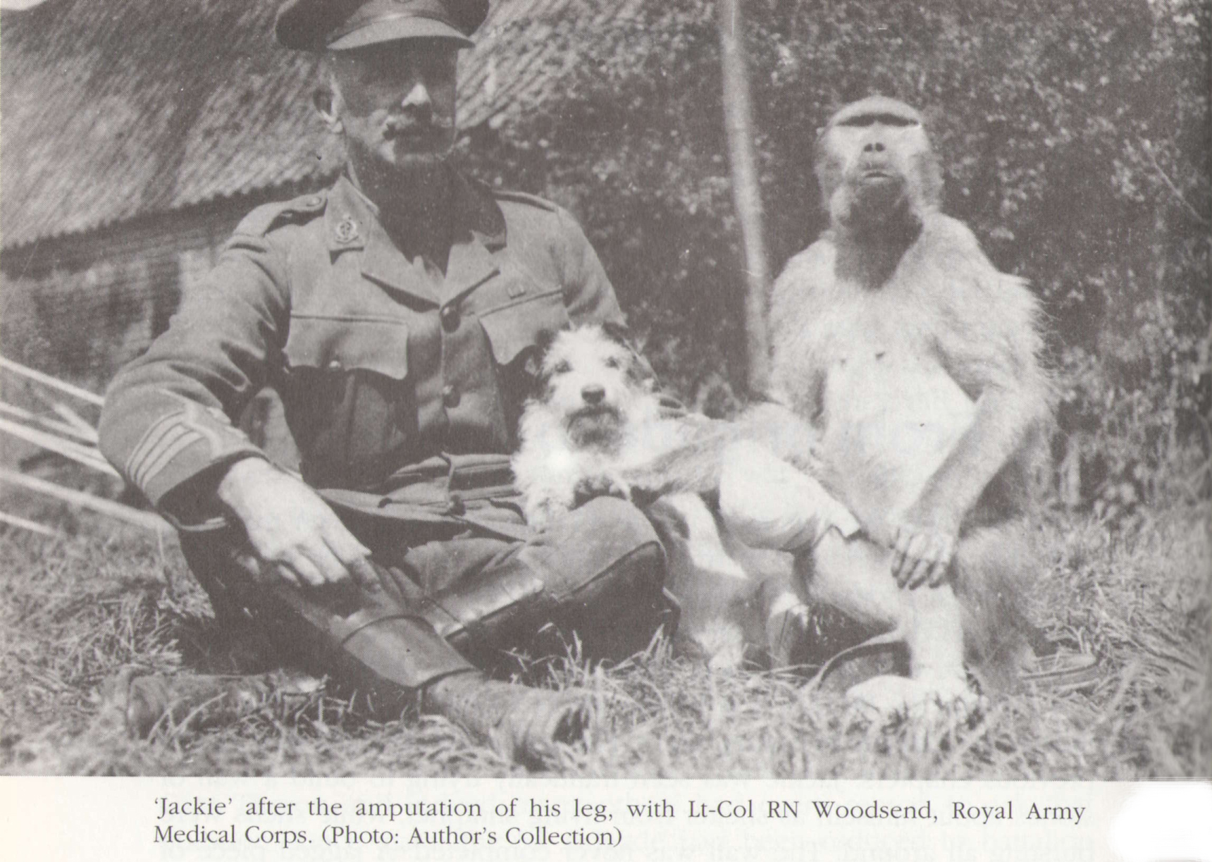 jackie-pierna-amputada